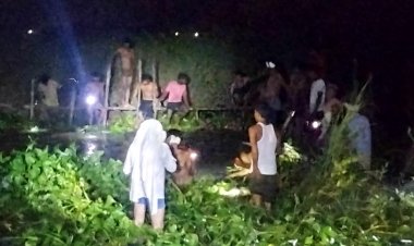 देखते ही देखते भैसही नदी में समा गया पशुपालक, मचा कोहराम, शव की तलाश जारी