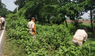 सात माह पूर्व हुई थी शादी पांच माह का पेट में पल रहा था बच्चा, पल्सर नही मिला तो कर दी हत्या