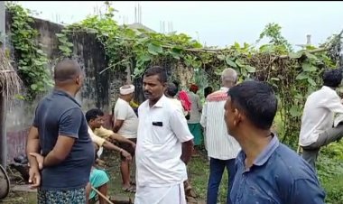 पशु को चारा डालते समय सांप ने सांप के डंसा, महिला की मौत