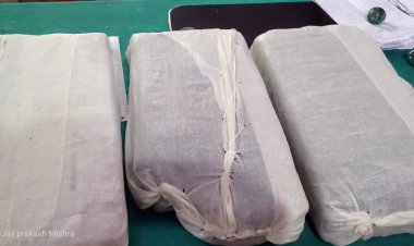 बलिहार में नहीं थम रही है मादक पदार्थों की तस्करी, भारी मात्रा में गांजे के साथ एक तस्कर गिरफ्तार