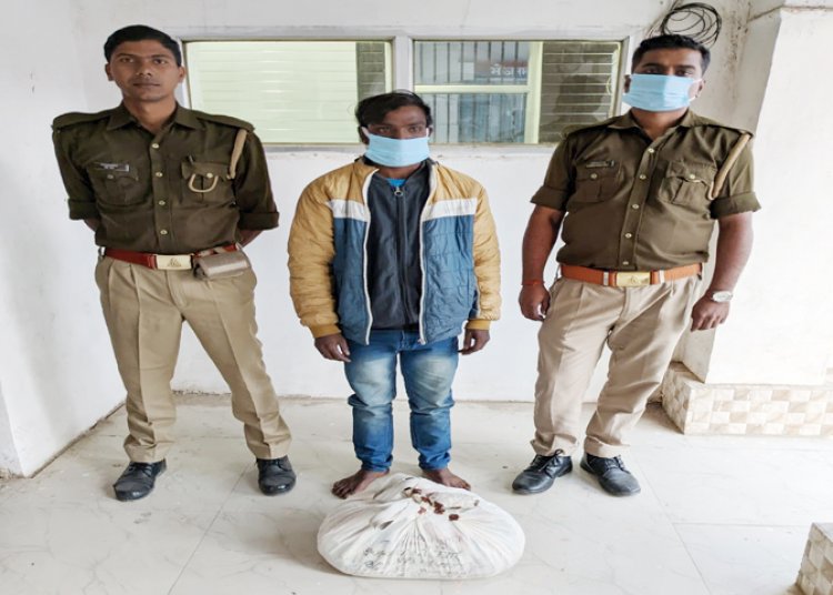पुलिस के हत्थे चढ़ा बक्सर का तस्कर, आठ किग्रा गांजा बरामद