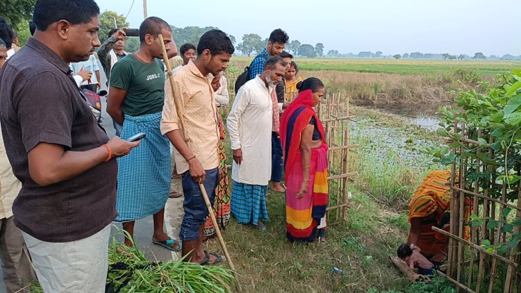 सड़क किनारे लावारिस मिली नवजात बच्ची, ग्रामीण महिला ने लिया गोद