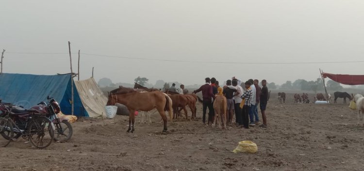 प्रचार की कमी से नंदीग्राम पशु मेले में घटी पशुओं की संख्या, व्यापारियों को हुआ नुकसान