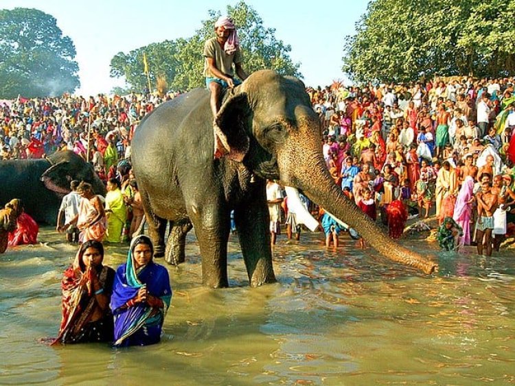 आज से शुरू होगा विश्व प्रसिद्ध सोनपुर मेला, पर्यटन विभाग ने की भव्य तैयारियां