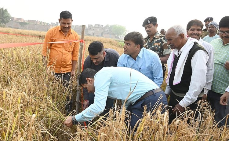 किसानों के धान की समय से हो खरीद, मिले उचित मूल्य - डीएम