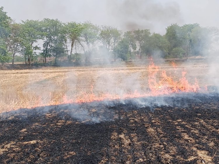 पराली जलाने वाले किसानों पर विभाग सख्त, 25 का निबंधन किया लॉक