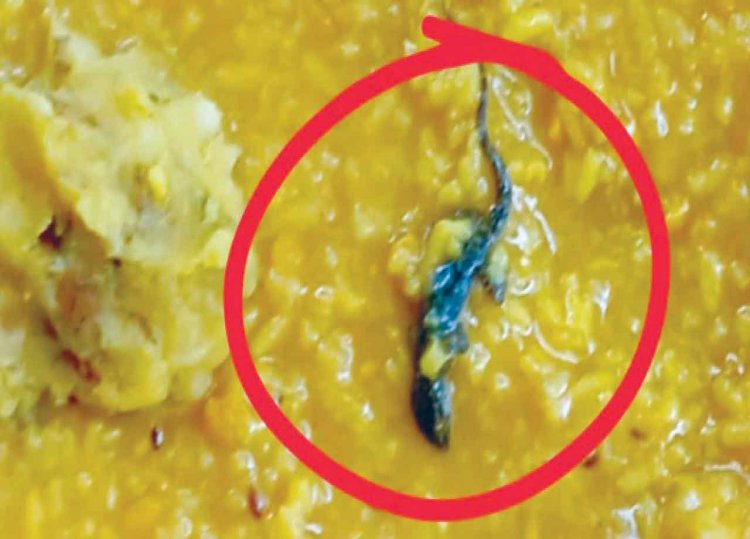 मध्यान भोजन में मिली छिपकली 20 बच्चे बीमार, सदर अस्पताल में चल रहा है इलाज