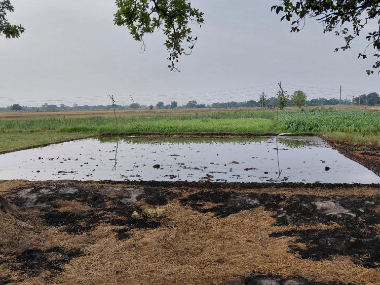 मानसून की बेरूखी व नहरों में पानी नहीं आने से किसान संकट में, निजी पंपों से कर रहे खेतों की सिंचाई