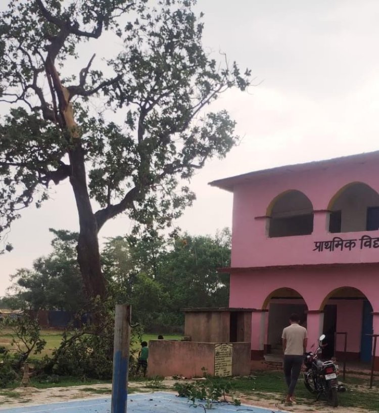 कंजिया प्राथमिक विद्यालय के पास महुआ पेड़ पर गिरी आकाशीय बिजली, बाल-बाल बचे शिक्षक एवं छात्र