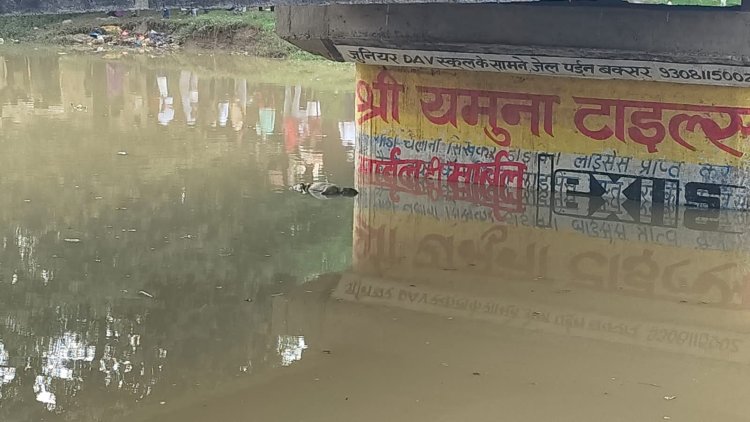 बक्सर में नहर से अज्ञात युवक का शव बरामद, इलाके में दहशत