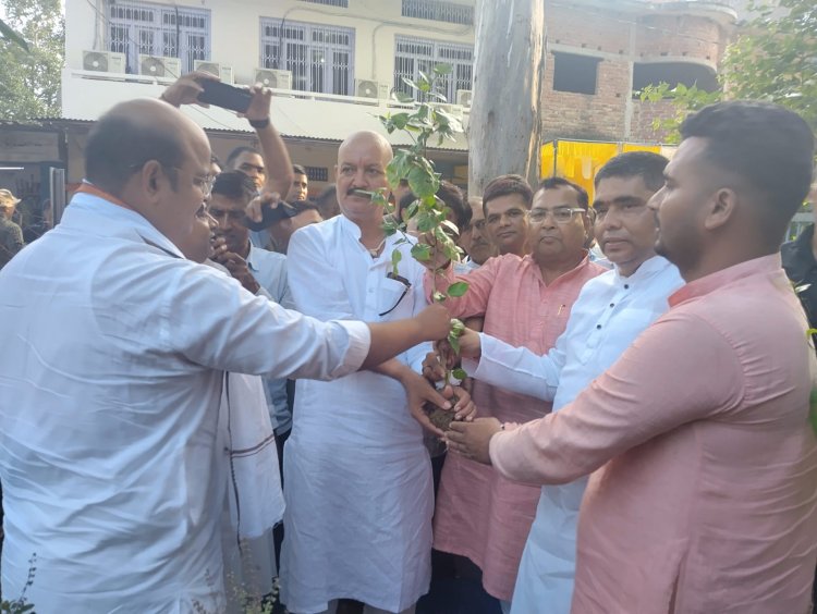 पूर्वजों की याद में पौधरोपण, ब्रह्मपुर में अनोखी पहल