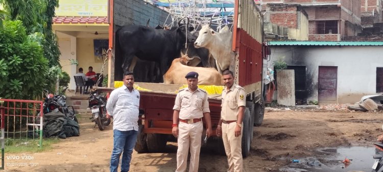 यूपी से तस्करी कर लाई जा रही गोवंश से लदी ट्रक जब्त, चालक खलासी फरार