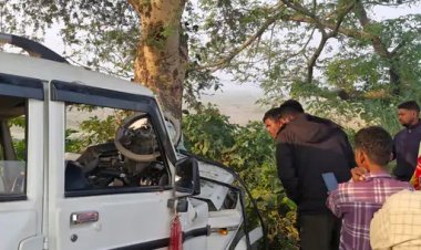 बोलेरो पेड़ से टकराई, 3 लोगों की मौत, हादसे में दो गंभीर घायल