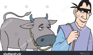 महरौरा से मवेशी की चोरी, एफआईआर दर्ज