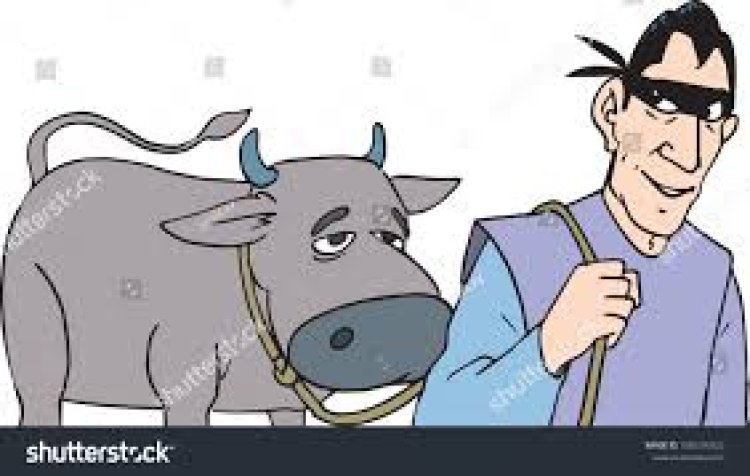 महरौरा से मवेशी की चोरी, एफआईआर दर्ज