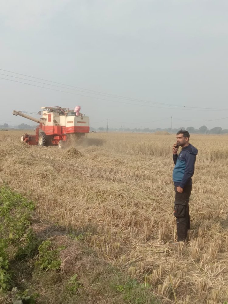 रामपुर दक्षिणी में धान कटनी ने पकड़ी रफ्तार, प्रगतिशील किसान कर रहे आधुनिक तकनीक से कटाई