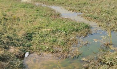 आज भी पगडंडियों के सहारे घर पहुंचने को मजबूर वार्ड 13 के नागरिक