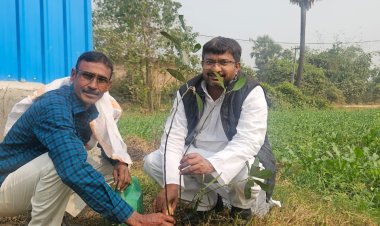 जदयू नेता रवि उज्ज्वल ने जन्मदिन पर पौधरोपण कर दिया हरियाली का संदेश