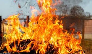 असामाजिक तत्वों ने मोटर पंप में लगाई आग, गेहूं की सिंचाई बाधित