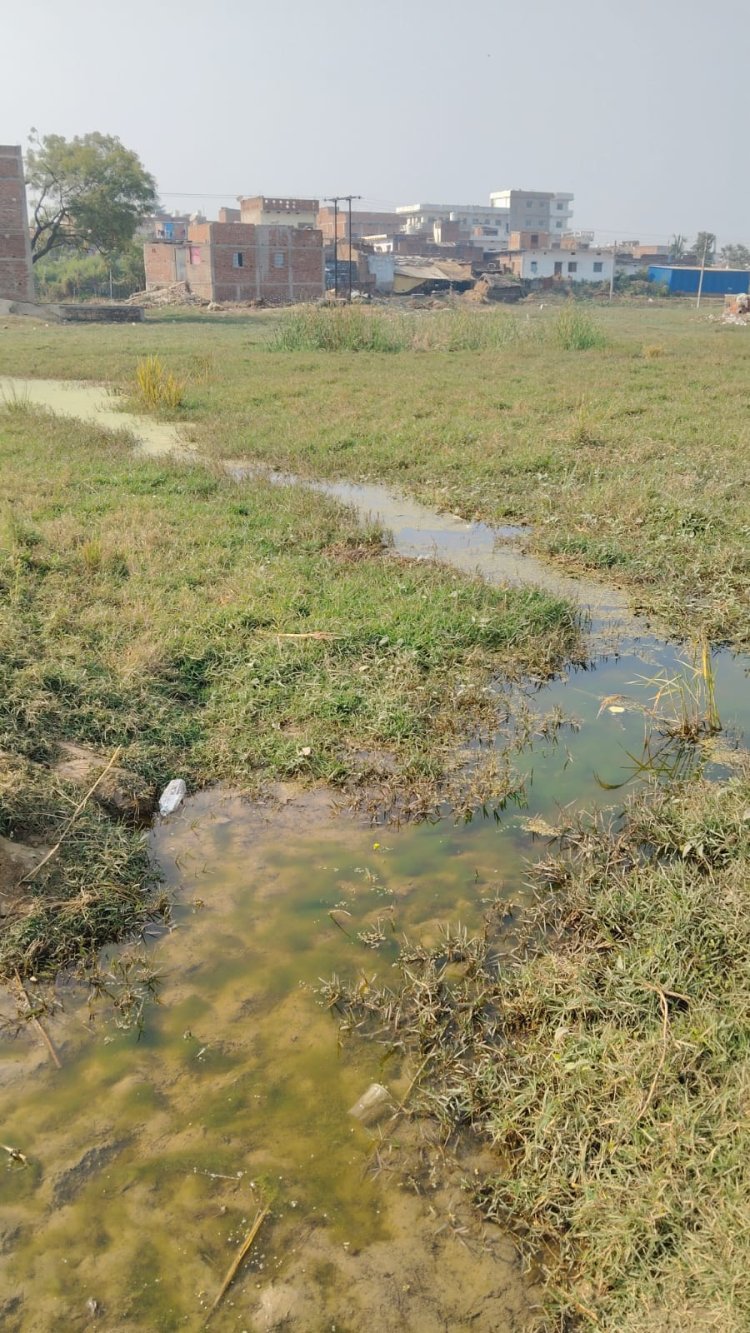 आज भी पगडंडियों के सहारे घर पहुंचने को मजबूर वार्ड 13 के नागरिक