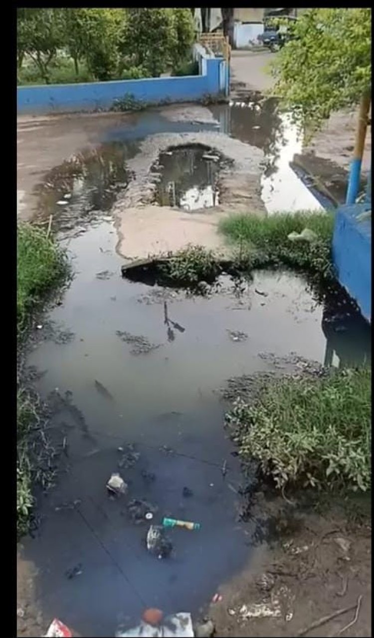 लापरवाही: वार्ड 18 में एक साल से अधिक समय से नहीं हुई है नाली की सफाई