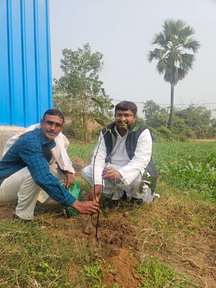 जदयू नेता रवि उज्ज्वल ने जन्मदिन पर पौधरोपण कर दिया हरियाली का संदेश