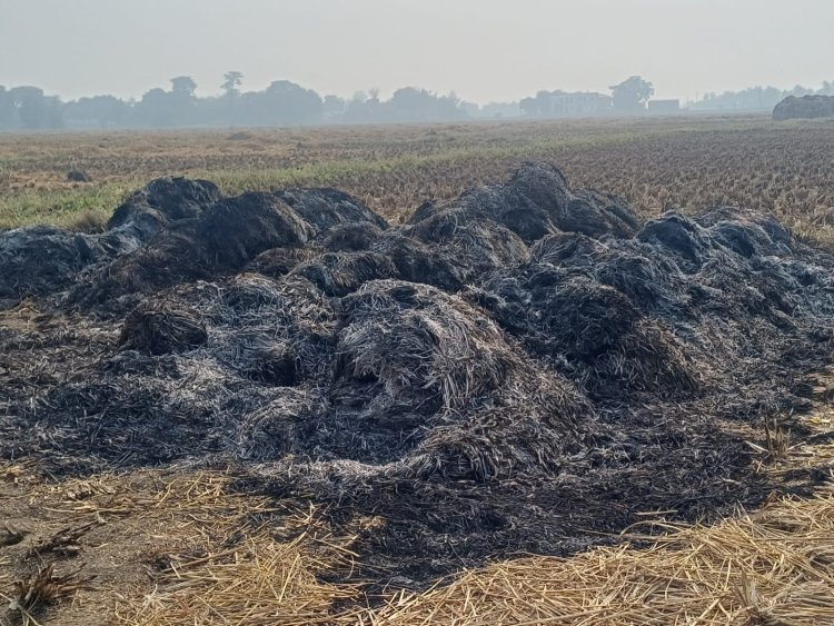 राजपुर : असमाजिक तत्वों ने खलिहान में लगाई आग, चार बीघे की फसल राख