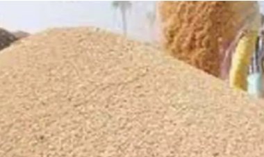 सीएमआर भुगतान में देरी से पैक्स पर संकट, धान अधिप्राप्ति लक्ष्य पर मंडराया खतरा