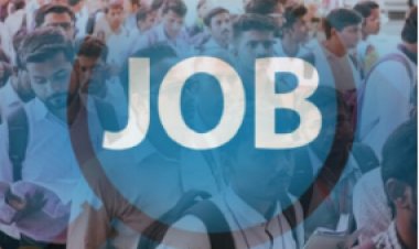 27 जनवरी को बक्सर में एकदिवसीय रोजगार शिविर, 20 पदों पर होगा सीधा चयन