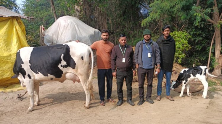 एमवीयू 1962 की तत्परता ने बचाई गर्भवती गाय की जान