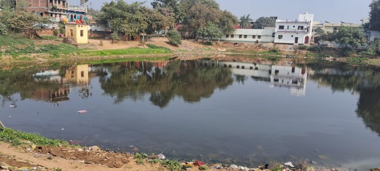 जल जीवन हरियाली योजना से डुमरांव के चार पोखरों को मिलेगी नई पहचान