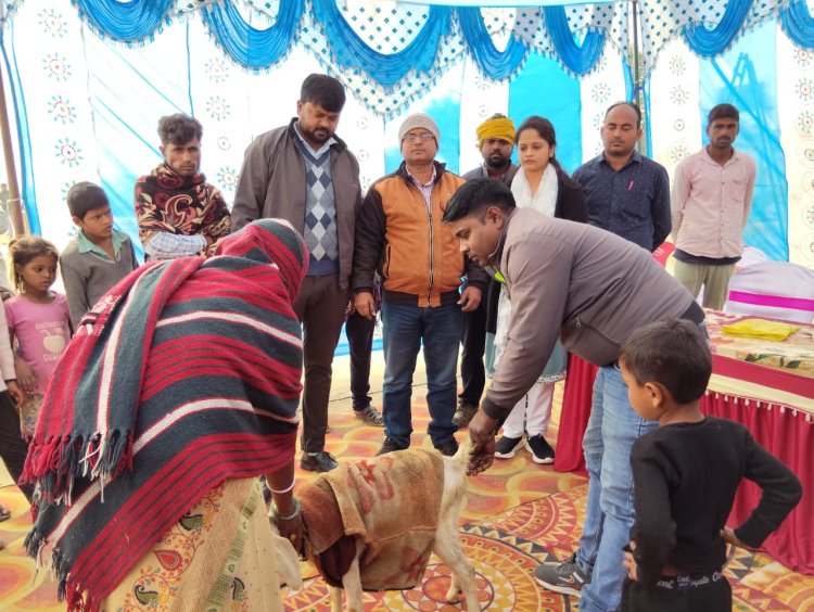 वैज्ञानिक पशुपालन से बदलेगी गांव की तस्वीर, आय बढ़ाने पर रहा फोकस