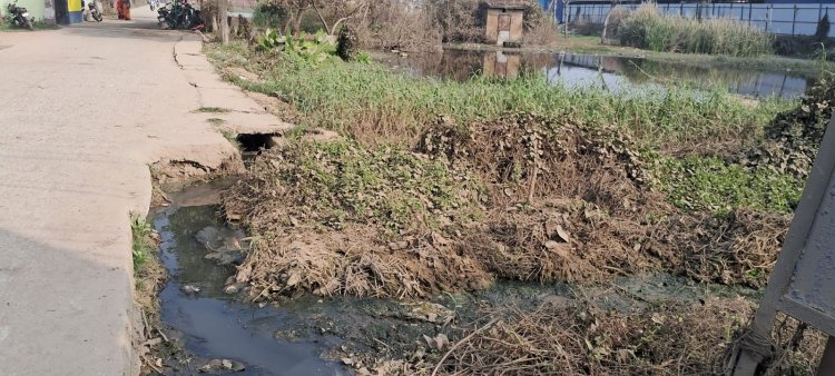 डुमरांव शहर के नई कॉलोनियों में नाली का निर्माण नहीं होने से लोग परेशान