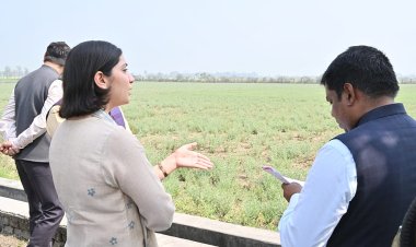 ब्रह्मपुर कृषि फार्म का डीएम ने किया निरीक्षण, नकदी फसलों व नई तकनीक पर दिया जोर