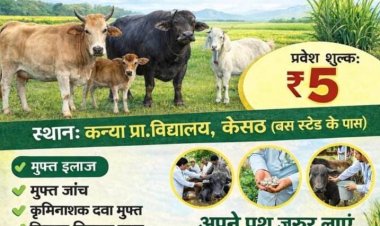 जीविका व पशु संसाधन विभाग द्वारा निःशुल्क पशु इलाज शिविर आज