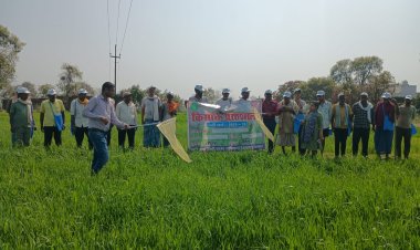 कम खर्च में दोगुनी मेहनत का फल: नई तकनीक से बदलेगी खेती की तस्वीर