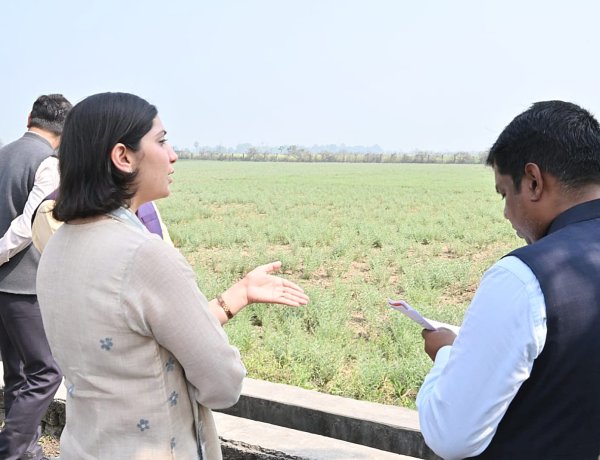 ब्रह्मपुर कृषि फार्म का डीएम ने किया निरीक्षण, नकदी फसलों व नई तकनीक पर दिया जोर