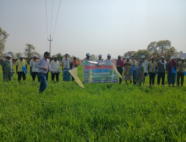 कम खर्च में दोगुनी मेहनत का फल: नई तकनीक से बदलेगी खेती की तस्वीर