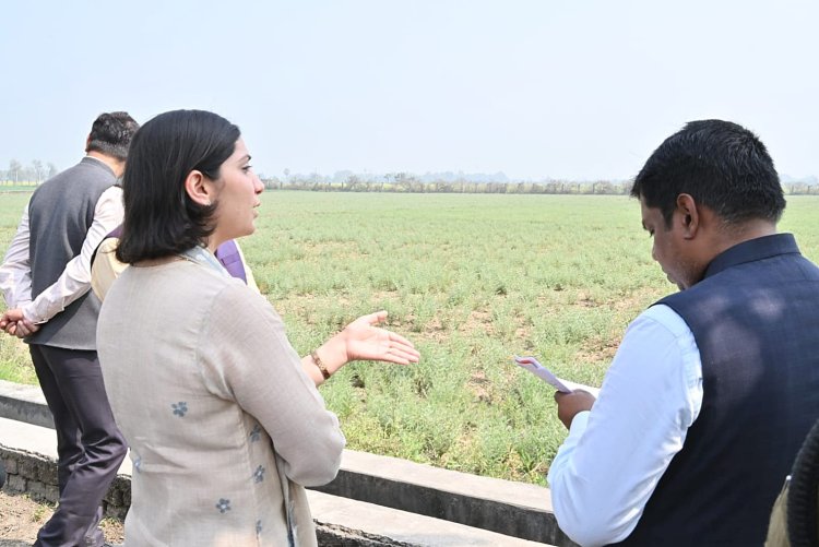ब्रह्मपुर कृषि फार्म का डीएम ने किया निरीक्षण, नकदी फसलों व नई तकनीक पर दिया जोर