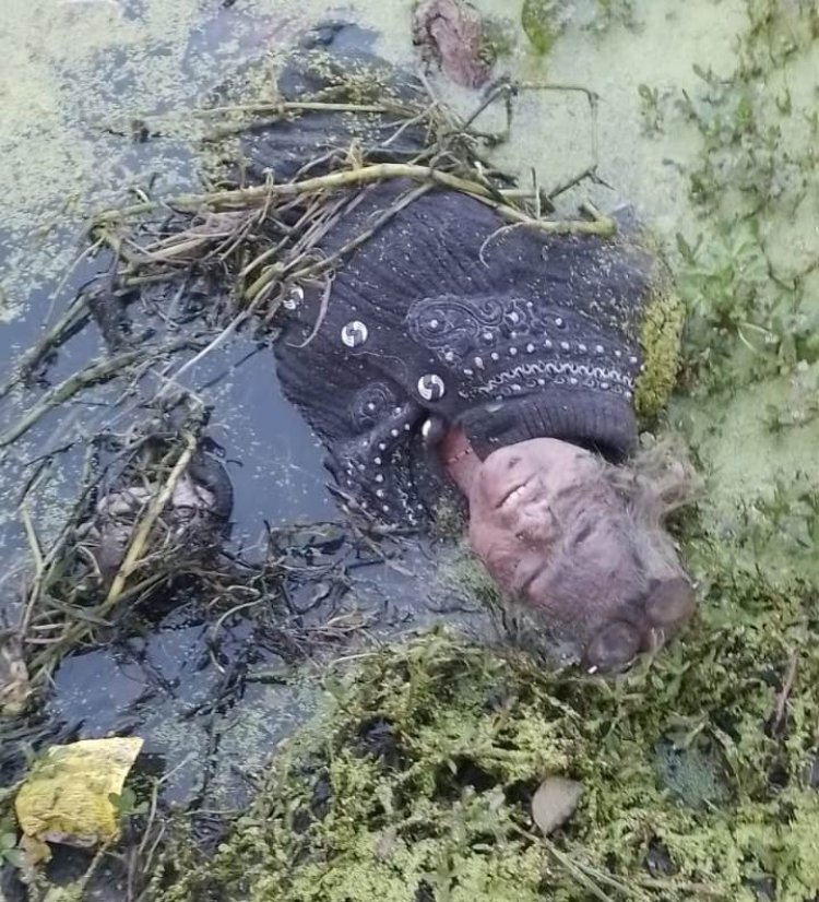 सरेजा में 65 वर्षीय महिला की संदिग्ध स्थिति में मौत, मचा हड़कंप