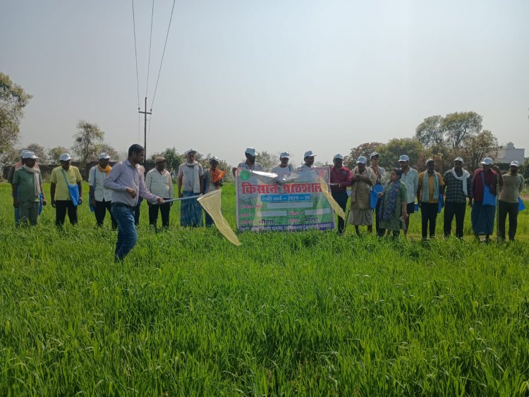 कम खर्च में दोगुनी मेहनत का फल: नई तकनीक से बदलेगी खेती की तस्वीर