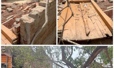 पेड़ गिरा, उजड़ गया आशियाना, तीन दिन बाद भी मदद का इंतजार