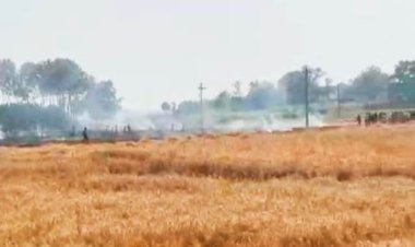 कटनी के बाद फसल अवशेष में लगी आग बनी कहर, छह बीघा गेहूं जलकर राख