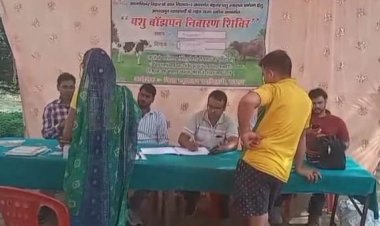 खिलाफतपुर में लगा पशु स्वास्थ्य महाकुंभ, बांझपन उपचार से किसानों की बढ़ी उम्मीदें