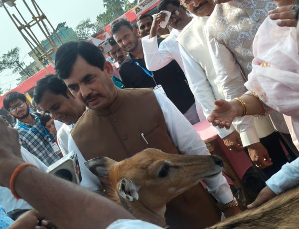 फसल के दुश्मन से खेत का साथी बनाने की कोशिश, डुमरांव के नीलगाय शोध ने सबौर मेले में बटोरी सुर्खियां