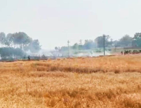 कटनी के बाद फसल अवशेष में लगी आग बनी कहर, छह बीघा गेहूं जलकर राख