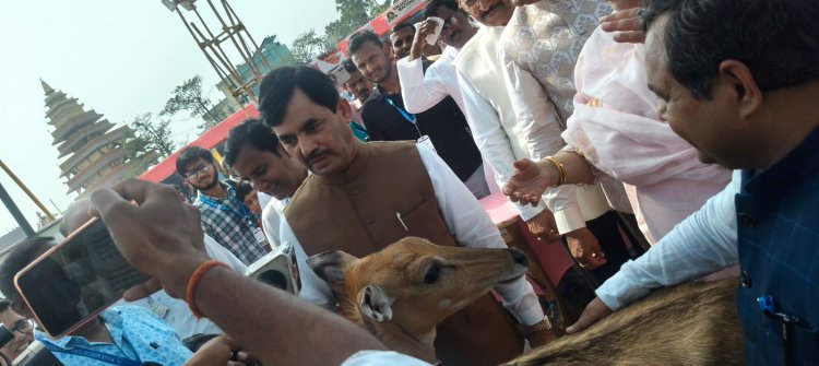 फसल के दुश्मन से खेत का साथी बनाने की कोशिश, डुमरांव के नीलगाय शोध ने सबौर मेले में बटोरी सुर्खियां