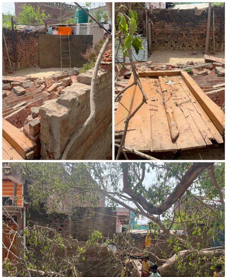 पेड़ गिरा, उजड़ गया आशियाना, तीन दिन बाद भी मदद का इंतजार