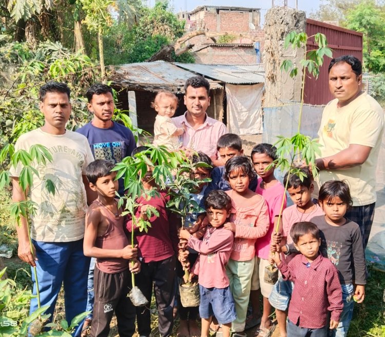 जन्मदिन पर लिया हरियाली का संकल्प, पौधरोपण से दिया जल संरक्षण का संदेश