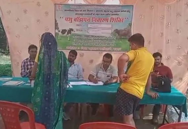 खिलाफतपुर में लगा पशु स्वास्थ्य महाकुंभ, बांझपन उपचार से किसानों की बढ़ी उम्मीदें